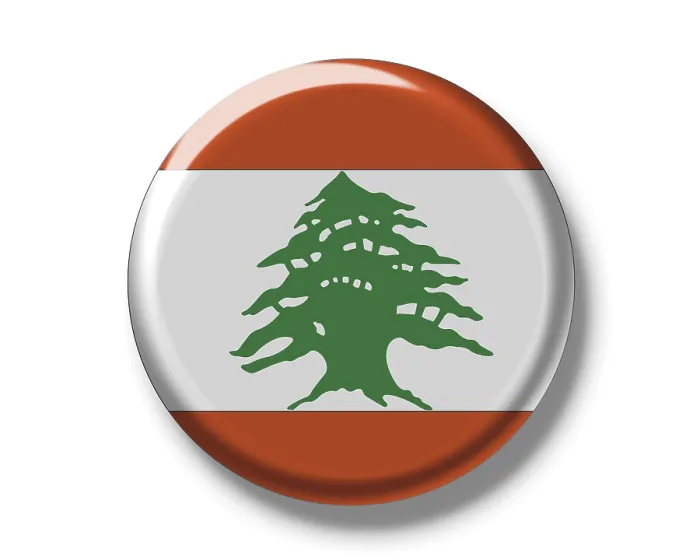 Framed Print : Lebanon Flag Print Framed Print : Lebanon Flag Print