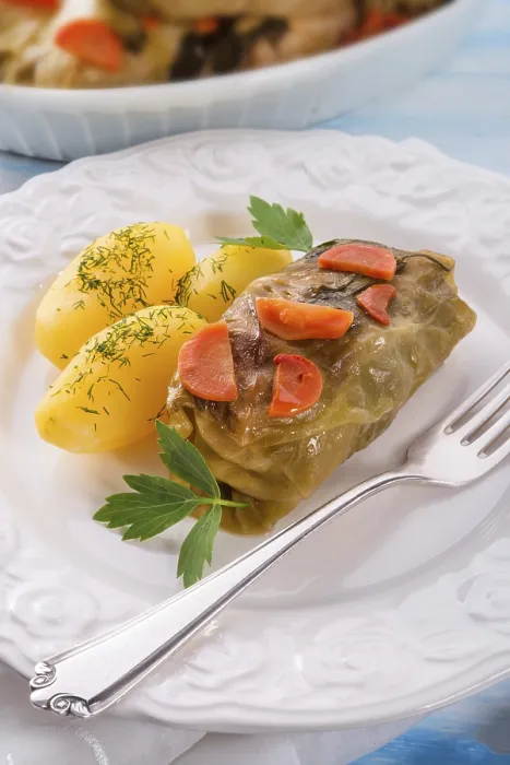 Framed Print : Cabbage Roll Print by imageBROKER Framed Print : Cabbage Roll Print by imageBROKER