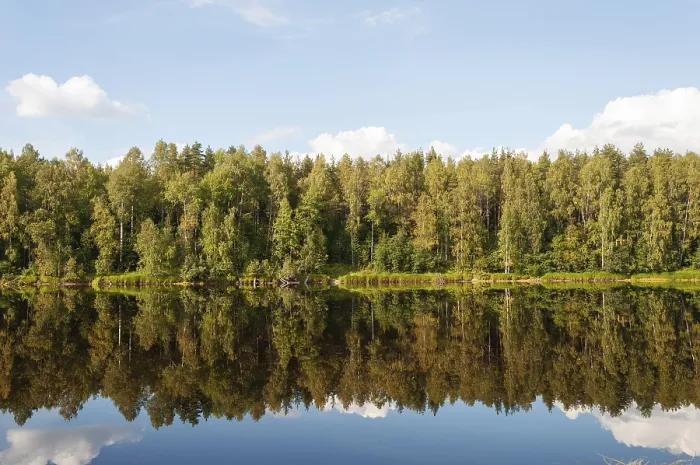 Framed Print : Calm River Print: Shuya River Reflections, Karelia, Russia Framed Print : Calm River Print: Shuya River Reflections, Karelia, Russia