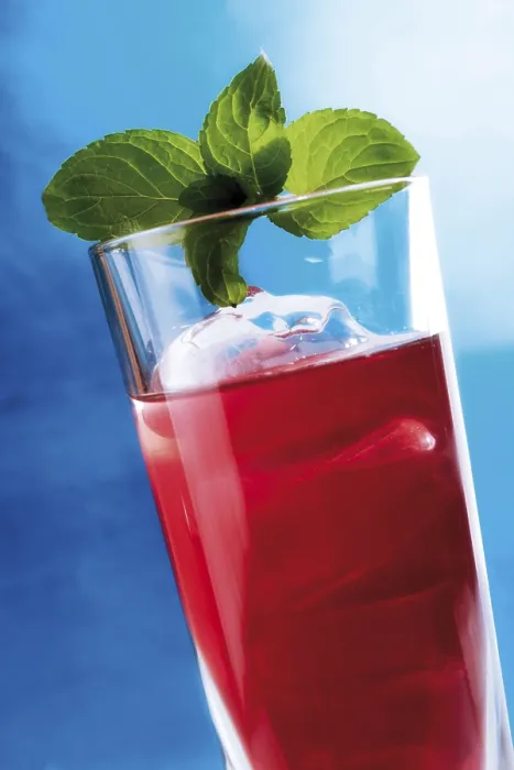 Framed Print : Campari on Ice Print Framed Print : Campari on Ice Print