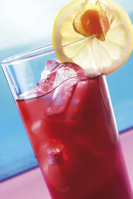 Framed Print : Campari on Ice Print Framed Print : Campari on Ice Print