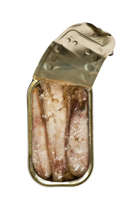 Framed Print : Canned Fish Print Framed Print : Canned Fish Print