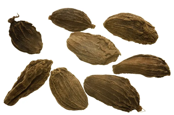 Framed Print : Cardamom Print Framed Print : Cardamom Print