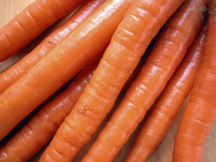 Framed Print : Carrots Print by imageBROKER Framed Print : Carrots Print by imageBROKER