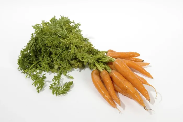 Framed Print : Carrots Print by ImageBROKER Framed Print : Carrots Print by ImageBROKER