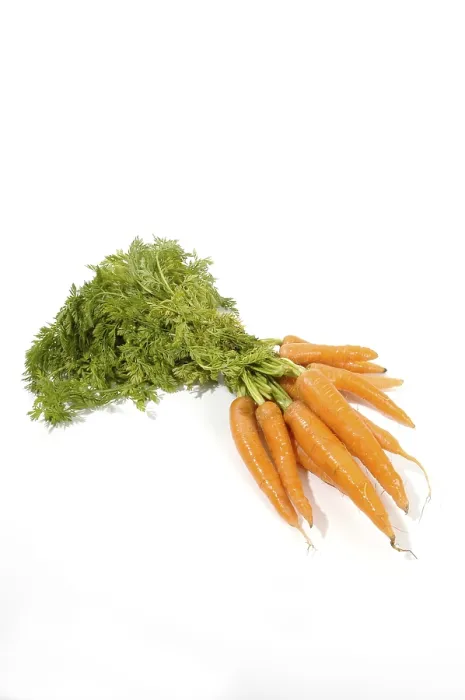 Framed Print : Carrots Print by imageBROKER Framed Print : Carrots Print by imageBROKER