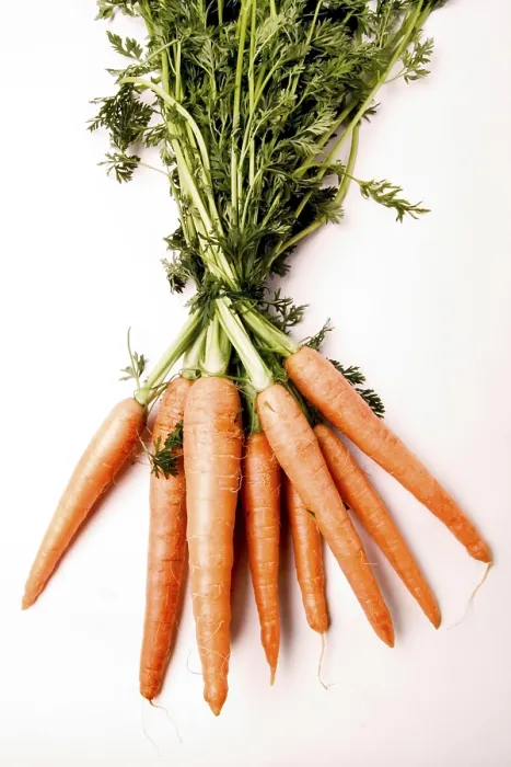 Framed Print : Carrots Print by ImageBROKER Framed Print : Carrots Print by ImageBROKER