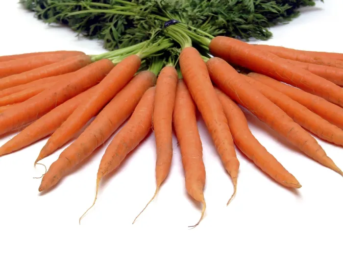 Framed Print : A Few Carrots Print Framed Print : A Few Carrots Print