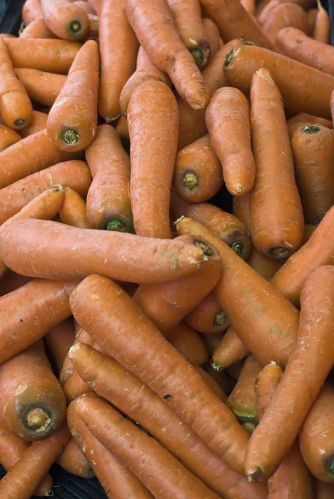 Framed Print : Carrots Print by imageBROKER Framed Print : Carrots Print by imageBROKER