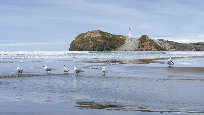 Framed Print : Castlepoint Beach Print, Wairarapa Coast, New Zealand