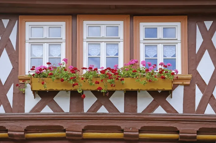 Framed Print : Window in Wernigerode Print Framed Print : Window in Wernigerode Print