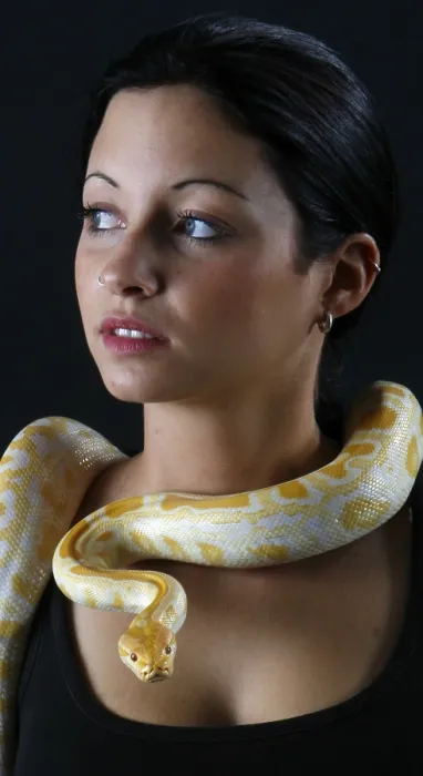 Framed Print : Albino Woman with Indian Python Print Framed Print : Albino Woman with Indian Python Print