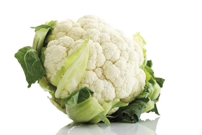 Framed Print : Cauliflower Print by ImageBROKER Framed Print : Cauliflower Print by ImageBROKER