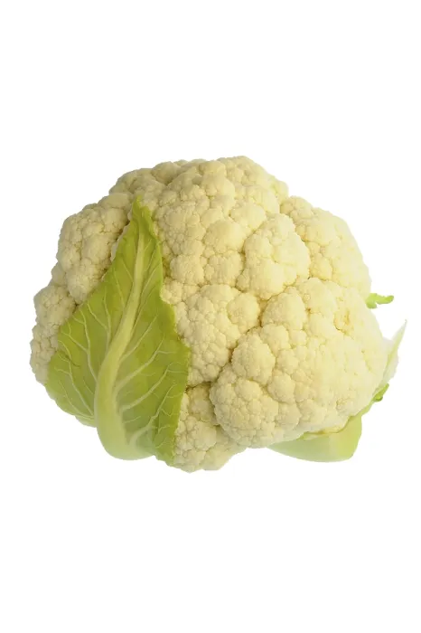 Framed Print : Cauliflower Studio Print Against White Background Framed Print : Cauliflower Studio Print Against White Background