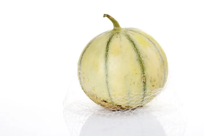 Framed Print : Cavaillon Melon and Charentais Melon Print