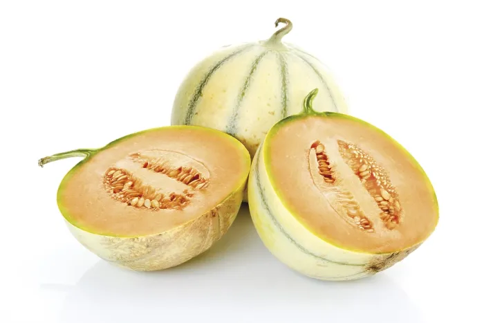 Framed Print : Cavaillon Melons Print Framed Print : Cavaillon Melons Print