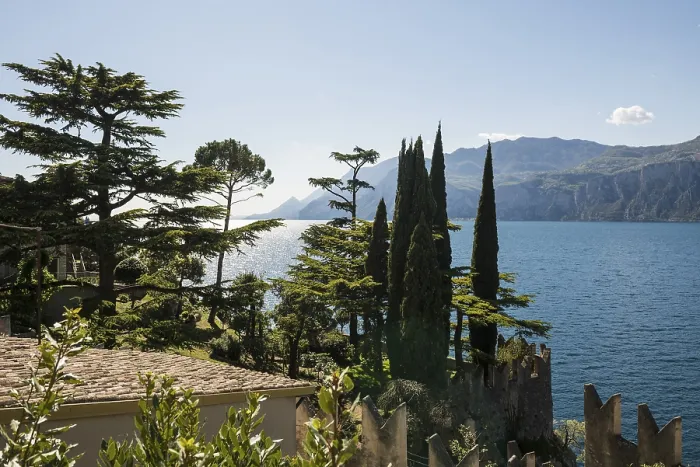 Framed Print : Cedars and Cypresses Print, Malcesine, Lake Garda, Italy Framed Print : Cedars and Cypresses Print, Malcesine, Lake Garda, Italy