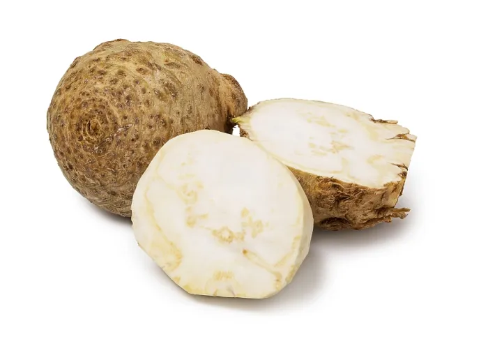 Framed Print : Celery Root Print on White Background Framed Print : Celery Root Print on White Background