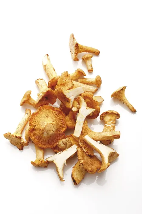 Framed Print : Chanterelles Print by ImageBROKER Framed Print : Chanterelles Print by ImageBROKER