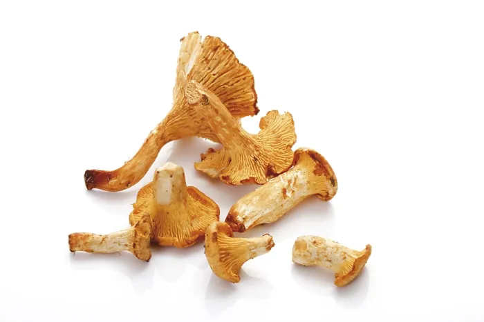 Framed Print : Chanterelles Print on Paper Framed Print : Chanterelles Print on Paper