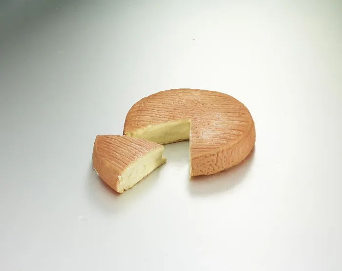 Framed Print : Studio Cheese Print on Light Background