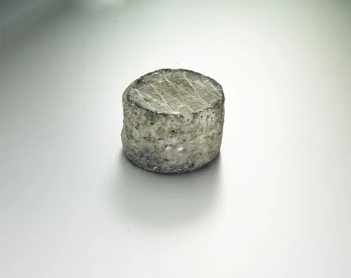 Framed Print : Studio Shot Cheese Print on Light Background Framed Print : Studio Shot Cheese Print on Light Background