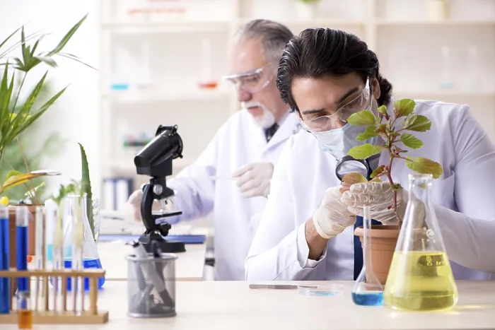 Framed Print : Chemists at Work Print Framed Print : Chemists at Work Print