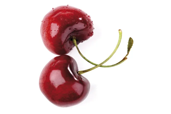 Framed Print : Two Cherries Print by imageBROKER Framed Print : Two Cherries Print by imageBROKER