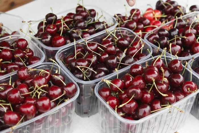 Framed Print : Cherries in Plastic Containers Print Framed Print : Cherries in Plastic Containers Print