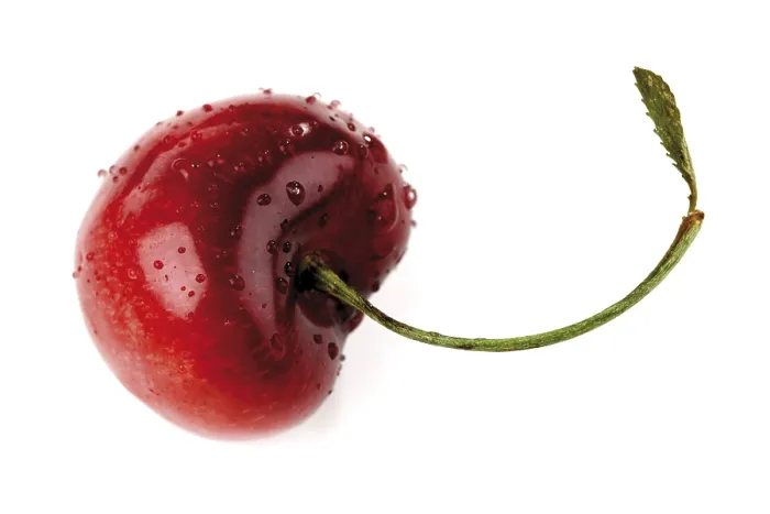 Framed Print : Cherry Cherry Print by Neil Young Framed Print : Cherry Cherry Print by Neil Young