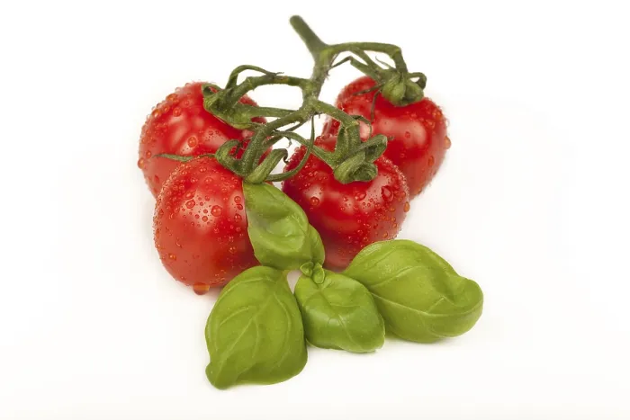 Framed Print : Cherry Tomatoes with Basil Print Framed Print : Cherry Tomatoes with Basil Print