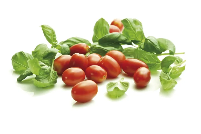 Framed Print : Cherry Tomatoes with Basil Print Framed Print : Cherry Tomatoes with Basil Print