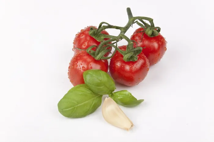 Framed Print : Cherry Tomatoes with Garlic and Basil Print Framed Print : Cherry Tomatoes with Garlic and Basil Print