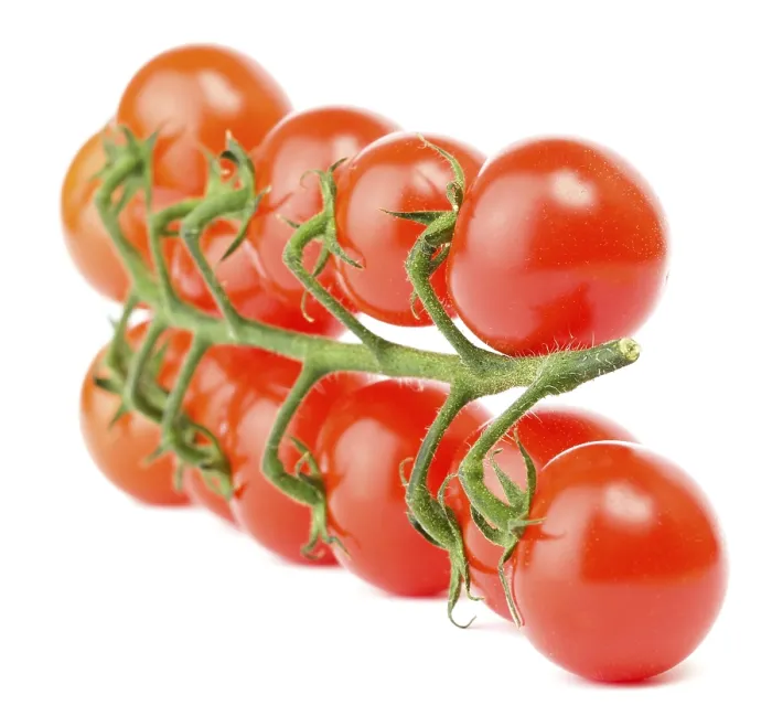 Framed Print : Cherry Tomatoes on White Print Framed Print : Cherry Tomatoes on White Print