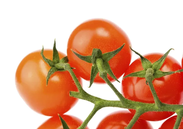 Framed Print : Cherry Tomatoes on White Print