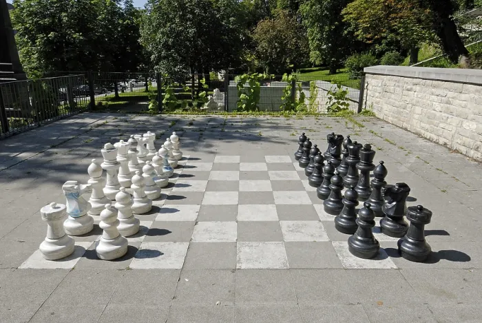 Framed Print : Chess in the Park Print Framed Print : Chess in the Park Print
