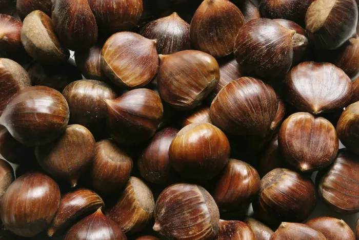 Framed Print : Chestnuts Print by imageBROKER Framed Print : Chestnuts Print by imageBROKER