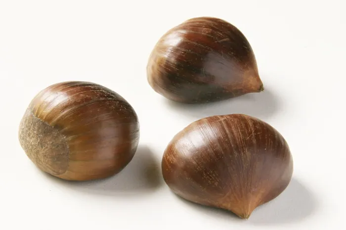 Framed Print : Chestnuts Print by imageBROKER Framed Print : Chestnuts Print by imageBROKER
