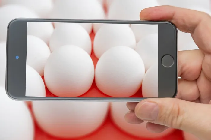 Framed Print : White Chicken Eggs Print: Straight Rows on Smartphone Screen Framed Print : White Chicken Eggs Print: Straight Rows on Smartphone Screen