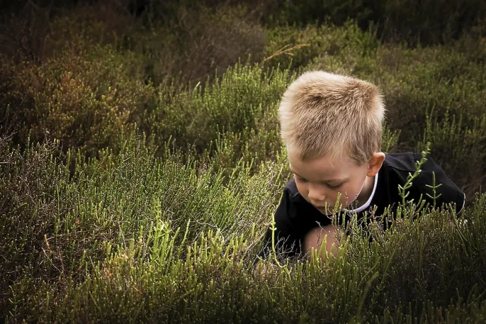 Framed Print : Child in Nature Print by ImageBROKER