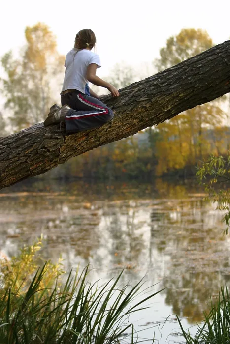 Framed Print : The Child Sits High on a Tree Print Framed Print : The Child Sits High on a Tree Print