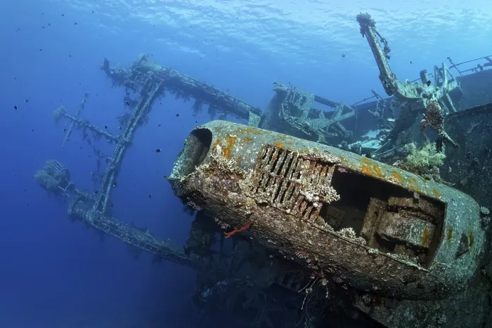 Framed Print : Cedar Pride Shipwreck Print, Red Sea Framed Print : Cedar Pride Shipwreck Print, Red Sea