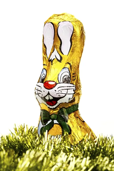 Framed Print : Chocolate Easter Bunny Print Framed Print : Chocolate Easter Bunny Print