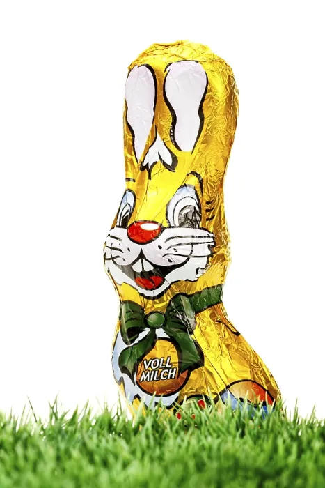 Framed Print : Chocolate Easter Bunny Print on Grass