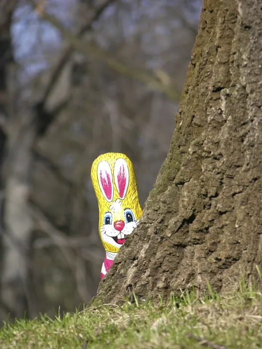 Framed Print : A Chocolate Easter Bunny Peers Around a Tree Trunk Print Framed Print : A Chocolate Easter Bunny Peers Around a Tree Trunk Print
