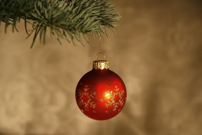 Framed Print : Christmas Tree Ball Print Framed Print : Christmas Tree Ball Print