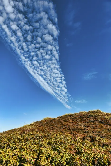 Framed Print : Cirrocumulus, blue sky over a dune print - Sylt, Germany Framed Print : Cirrocumulus, blue sky over a dune print - Sylt, Germany