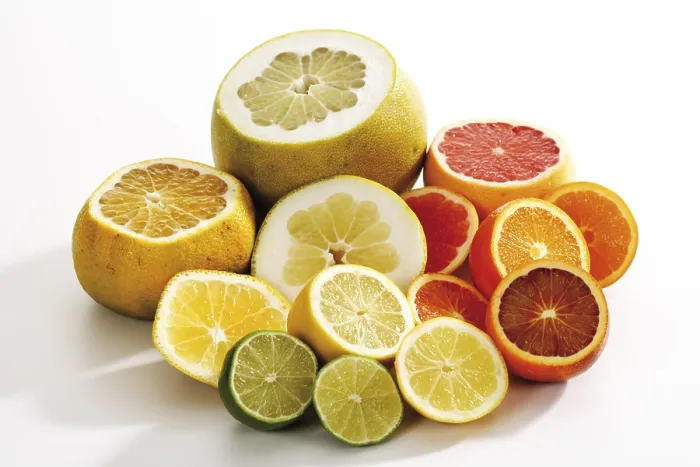 Framed Print : Citrus Fruit Print Framed Print : Citrus Fruit Print