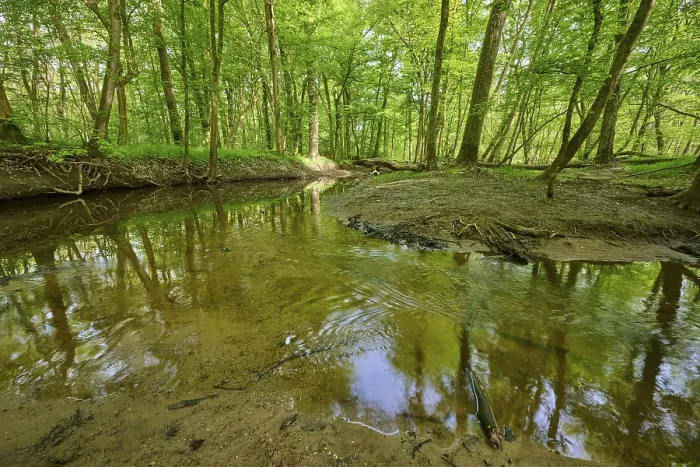 Framed Print : Au Forest Stream Print, Hesse, Germany Framed Print : Au Forest Stream Print, Hesse, Germany