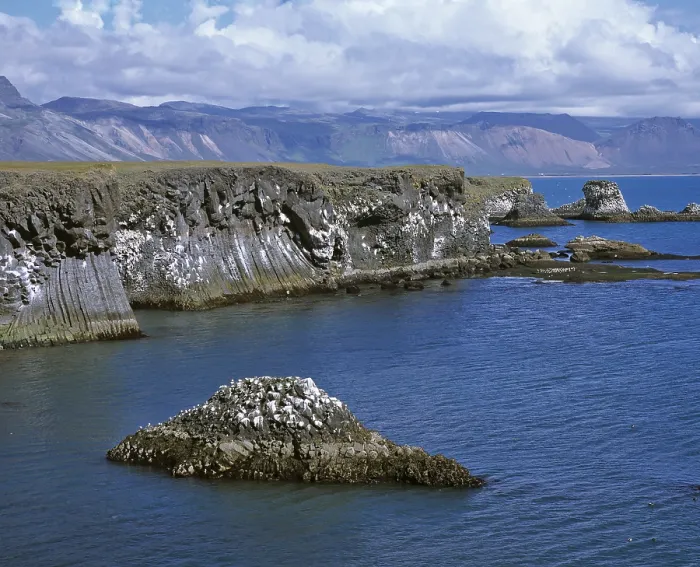 Framed Print : Basalt Cliffs Print, Arnarstapi, Iceland Framed Print : Basalt Cliffs Print, Arnarstapi, Iceland
